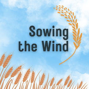 Sowing the Wind