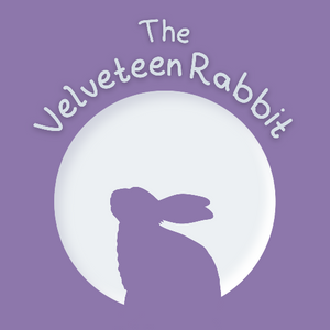 
            
                Load image into Gallery viewer, PlayKit | The Velveteen Rabbit
            
        