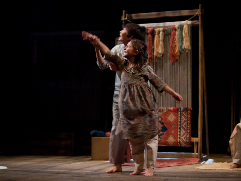 Performance License Application – Plays for New Audiences